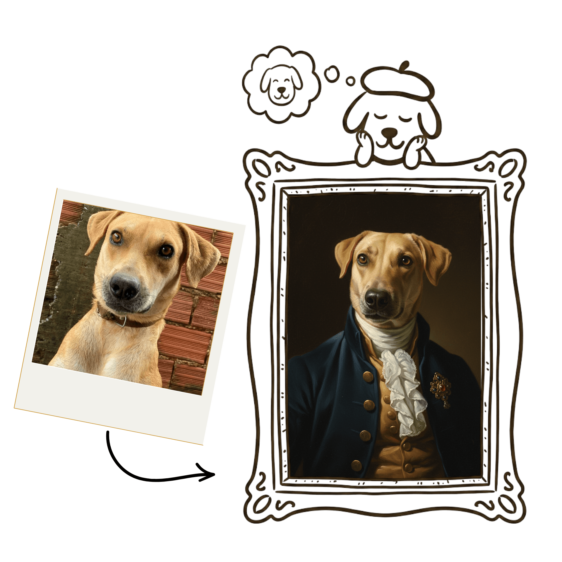 Before and After transformation